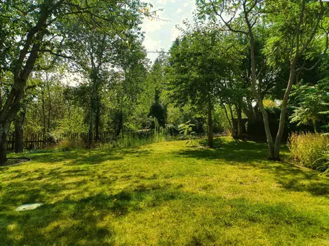 766 SE Ridgeview Ct, Pullman, WA 99163 photo 4