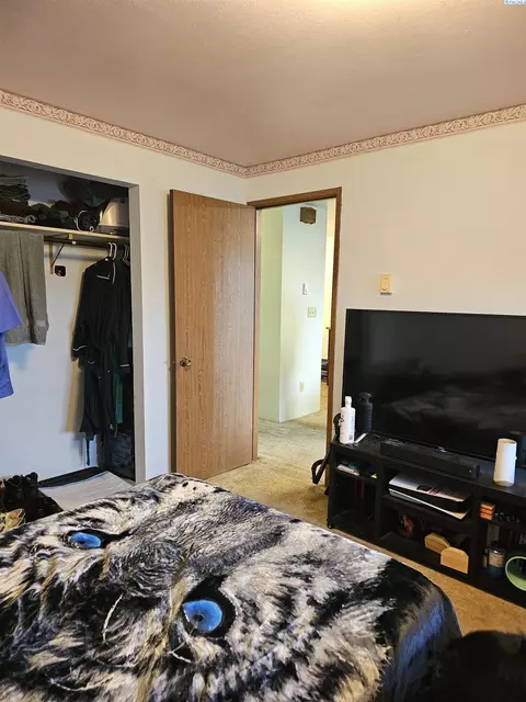 411 NW Irving St, Pullman, WA 99163 photo 31