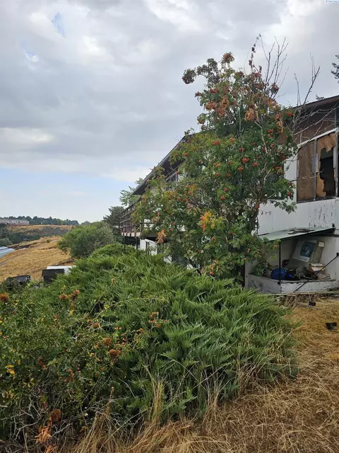 411 NW Irving St, Pullman, WA 99163 photo 42