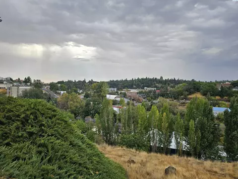 411 NW Irving St, Pullman, WA 99163 photo 37