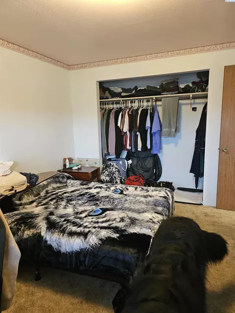 411 NW Irving St, Pullman, WA 99163 photo 30