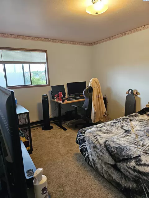 411 NW Irving St, Pullman, WA 99163 photo 29