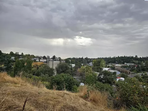 411 NW Irving St, Pullman, WA 99163 photo 40