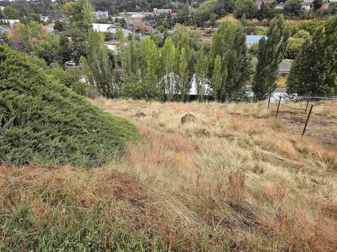 411 NW Irving St, Pullman, WA 99163 photo 38