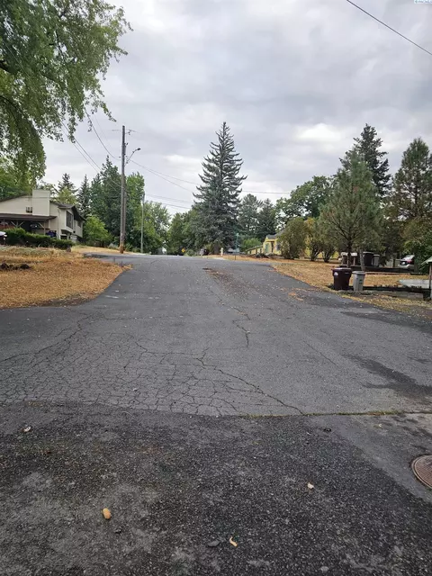 411 NW Irving St, Pullman, WA 99163 photo 43