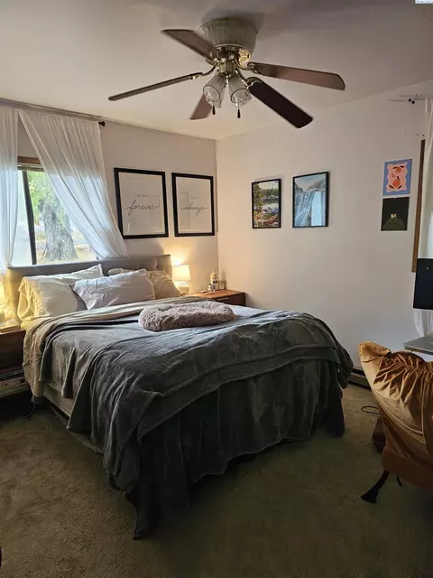 411 NW Irving St, Pullman, WA 99163 photo 8