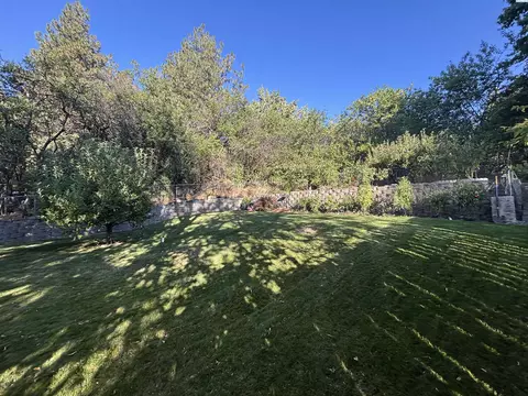 430 SW Shirley St, Pullman, WA 99163 photo 24