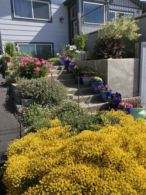 430 SW Shirley St, Pullman, WA 99163 photo 32
