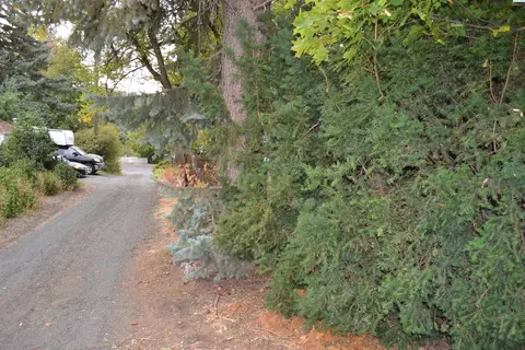 125 SE South St, Pullman, WA 99163 photo 5
