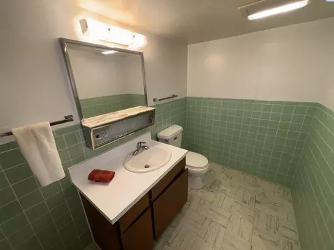 315 SE Nebraska St, Pullman, WA 99163 photo 21