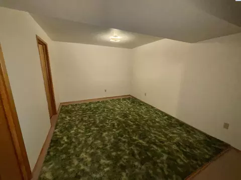 315 SE Nebraska St, Pullman, WA 99163 photo 20