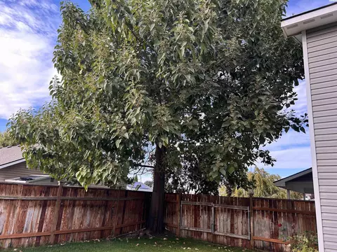 9616 Winthrop Dr, Pasco, WA 99301 photo 30