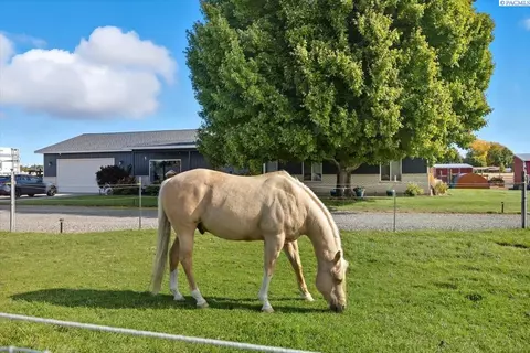 1117 Road 52, Pasco, WA 99301