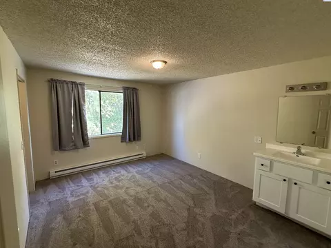 900 NE Indiana St, Pullman, WA 99163 photo 23