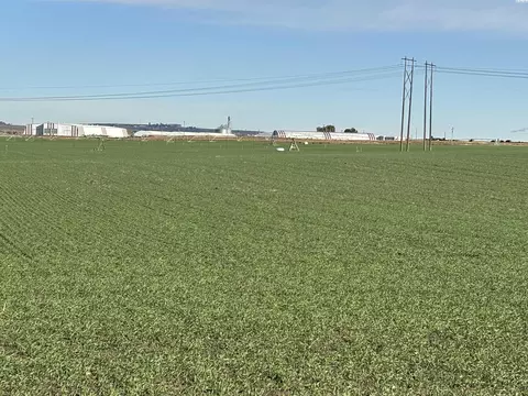 Nka Vineyard Drive, Pasco, WA 99301