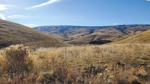Nka Elk Ridge Ln / Wenas Rd, Selah, WA 98942