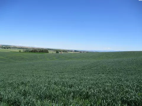 4285 Detour Rd, Touchet, WA 99360