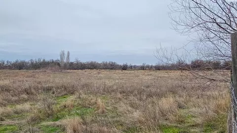 4331 Hendricks Rd, Connell, WA 99326 photo 31