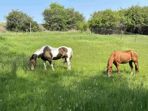Other - 952 Carothers Rd, Pullman, WA 99163 photo 10 of 11