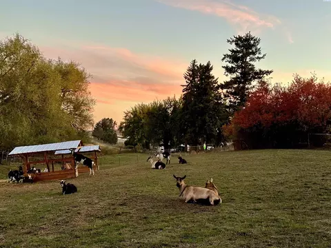 Other - 952 Carothers Rd, Pullman, WA 99163 photo 11 of 11