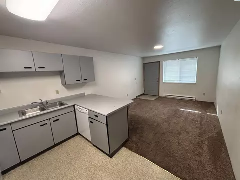 631 NE Oak, Pullman, WA 99163 photo 14
