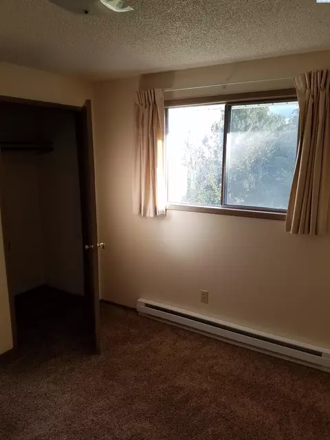 325 NW Thomas St, Pullman, WA 99163 photo 5