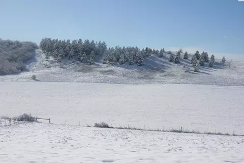1283 Kitzmiller, Pullman, WA 99163 photo 4