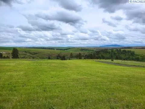 lot9 Red Tail Rdg, Colfax, WA 99111