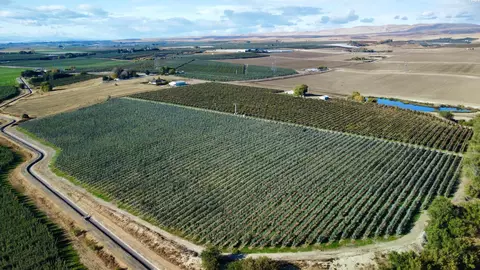 1870 Phipps Rd, Sunnyside, WA 98944