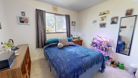 1725 NW Lamont St, Pullman, WA 99163 photo 13