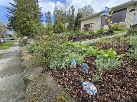 1040 NW Clifford St, Pullman, WA 99163 photo 34