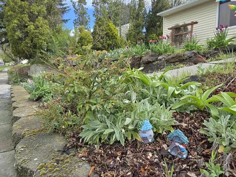 1040 NW Clifford St, Pullman, WA 99163 photo 36