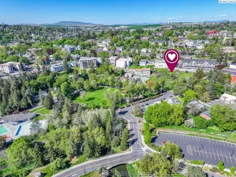tbd NE Gray Ln, Pullman, WA 99163 photo 9