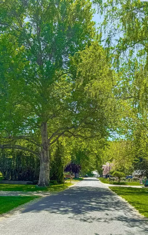 1032 Elm St, Prosser, WA 99350