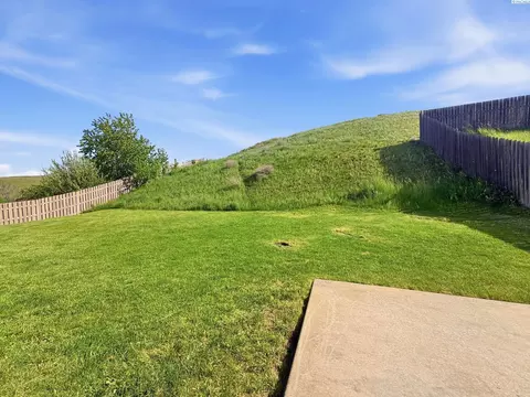 1255 SW Latour Peak, Pullman, WA 99163 photo 38