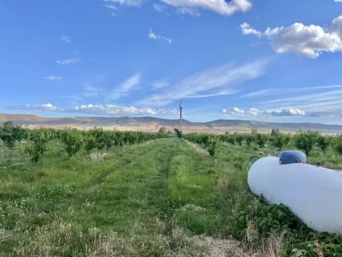 tbd Robinson Rd, Grandview, WA 98930