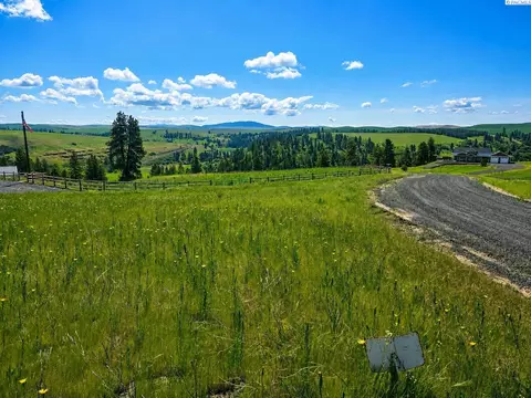 lot11 Red Tail Rdg, Colfax, WA 99111