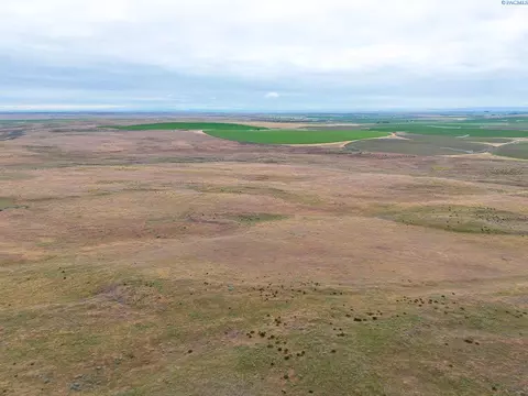 Nka Elm Road, Eltopia, WA 99330 photo 9