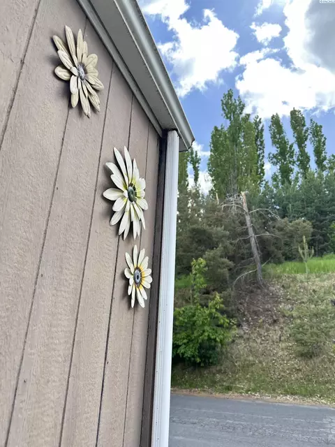 1165 S Grand Ave #84, Pullman, WA 99163 photo 34