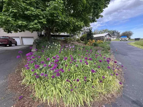 2783 Old Moscow Rd, Pullman, WA 99163 photo 4