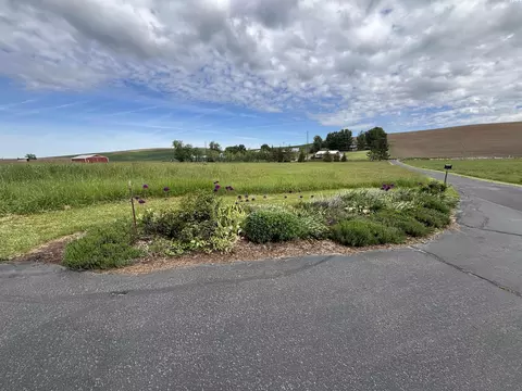 2783 Old Moscow Rd, Pullman, WA 99163 photo 12