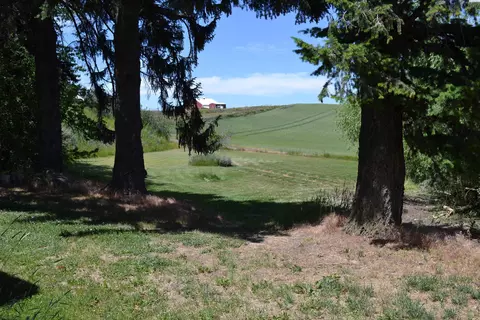 Exterior - 2201 Kitzmiller Rd, Pullman, WA 99163 photo 8 of 16
