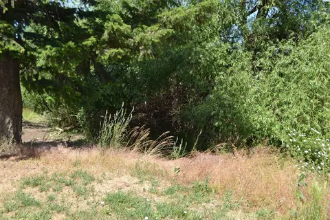 Other - 2201 Kitzmiller Rd, Pullman, WA 99163 photo 7 of 9