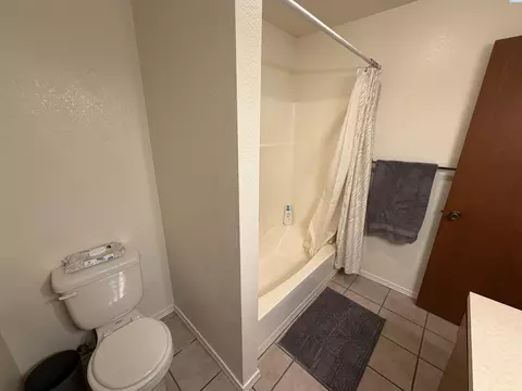 Bath - 2005 NE Terre View Dr #A-5, Pullman, WA 99163 photo 4 of 4