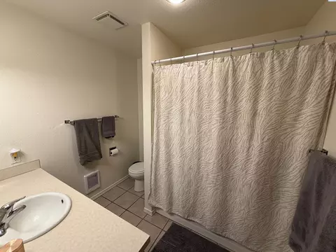 Bath - 2005 NE Terre View Dr #A-5, Pullman, WA 99163 photo 3 of 4