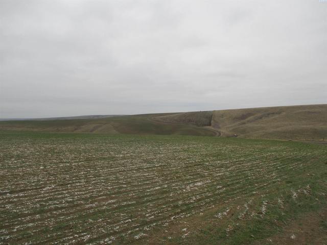 Nka Rice Road, Kahlotus, WA 99335