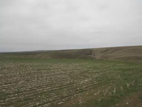 Nka Rice Road, Kahlotus, WA 99335