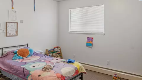 Bedroom - 1625 NE Whealand, Pullman, WA 99163 photo 4 of 4