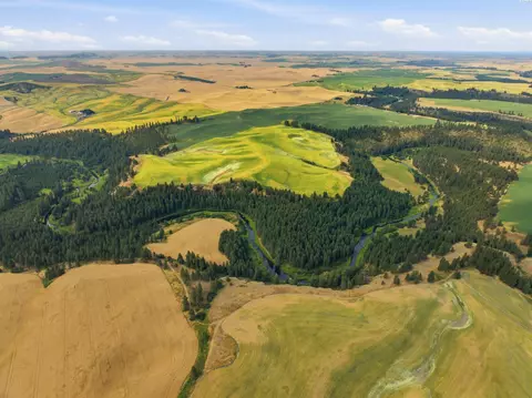 tbd Altergott Rd, Garfield, WA 99130