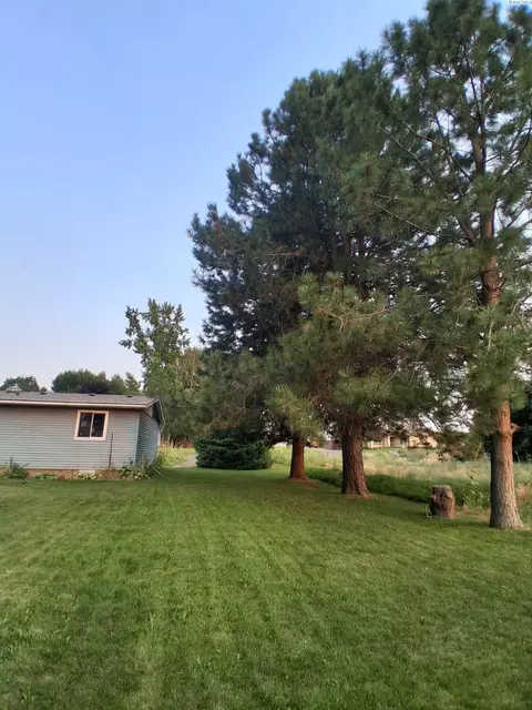 Exterior - 101 Canal Dr, Mesa, WA 99343 photo 3 of 16